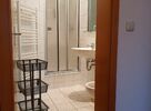 Apartment 53 bathroom with shower